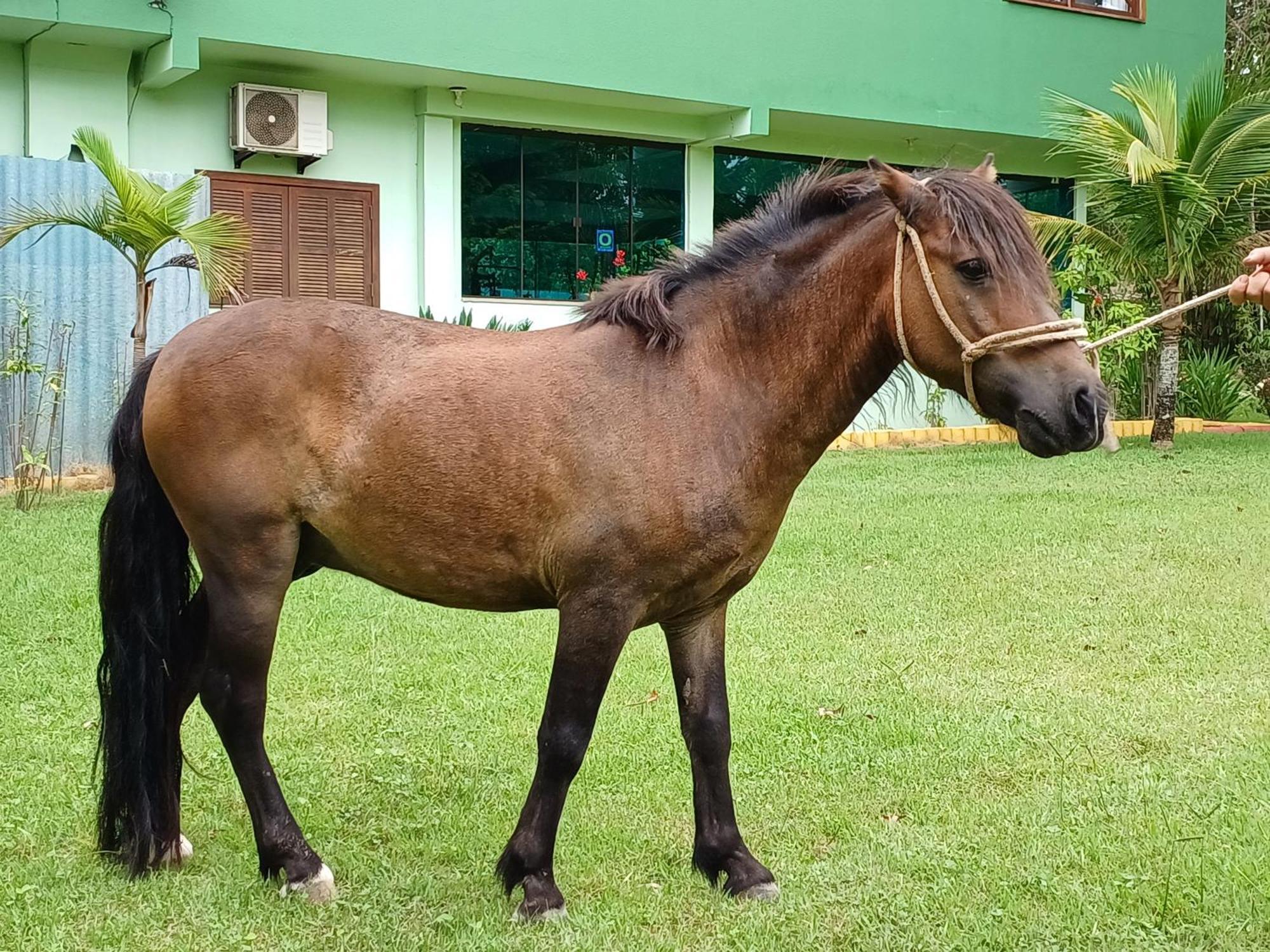 Pousada Chacara Rio Jordao Florianópolis Eksteriør billede